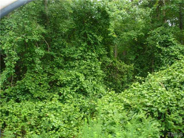 Hawkins Road Selma, NC 27576 - Photo 6 of 9 Photo 6