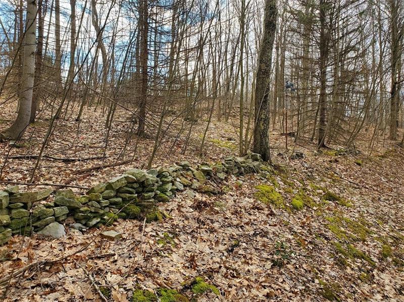 907 Solomon Temple Road Latrobe, PA 15650 - Photo 22 of 23 Gallery Image 22