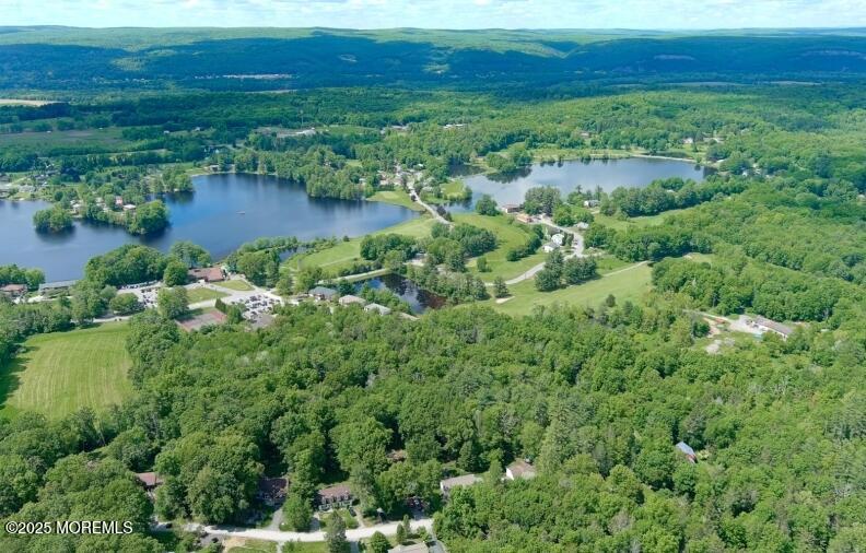 an aerial view of green landscape with trees houses and mountain view