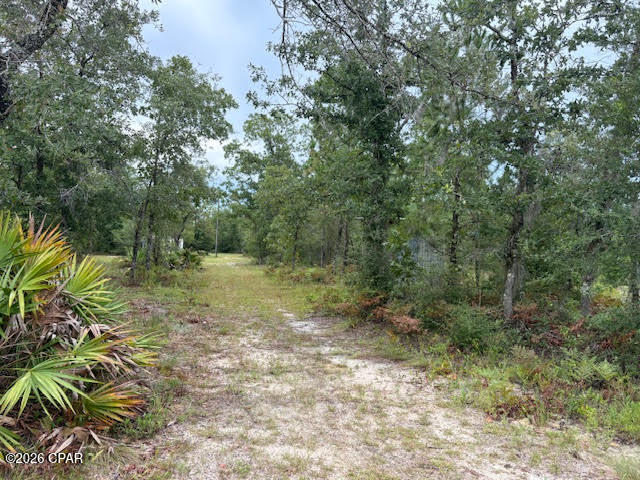 4539 Northwest White Road Altha, FL 32421 - Photo 39 of 82