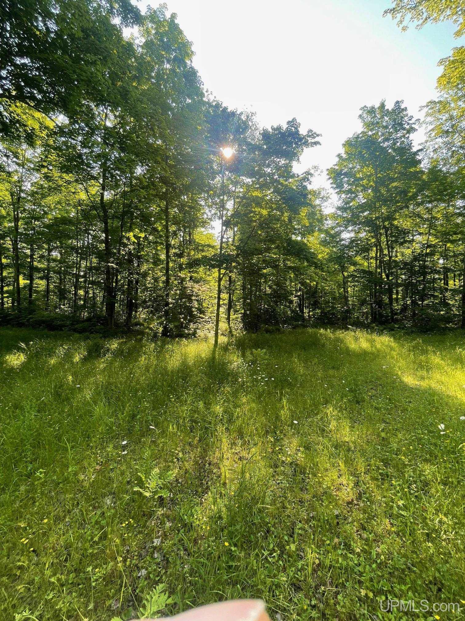 Tbd A Off Gay Road Lake Linden, MI 49945 - Photo 6 of 15