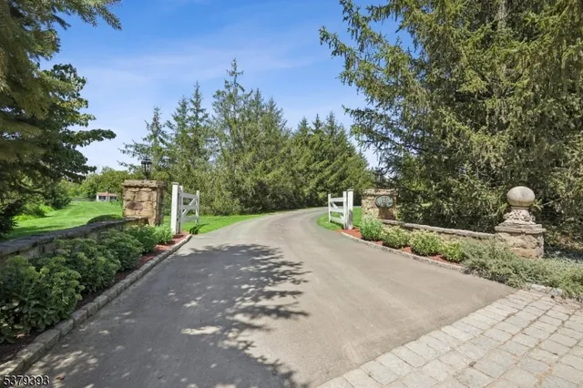 a view of a street with a yard and trees
