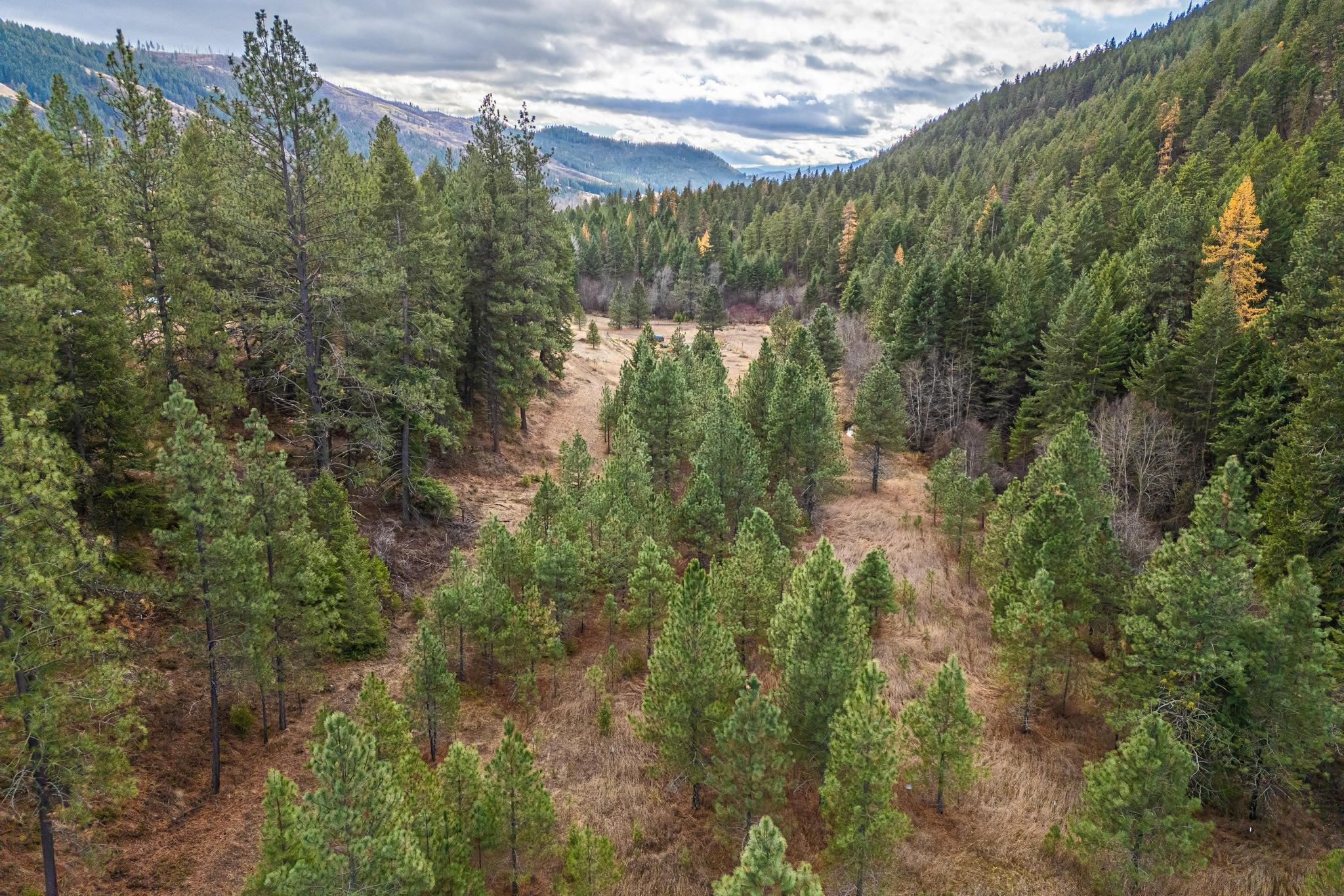 657 C Williams Lake Road Colville, WA 99114 - Photo 22 of 23 Gallery Image 22