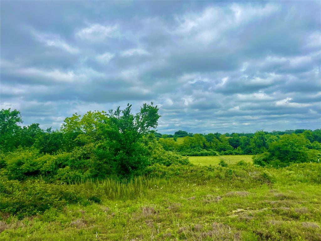 View of mother earth's splendor