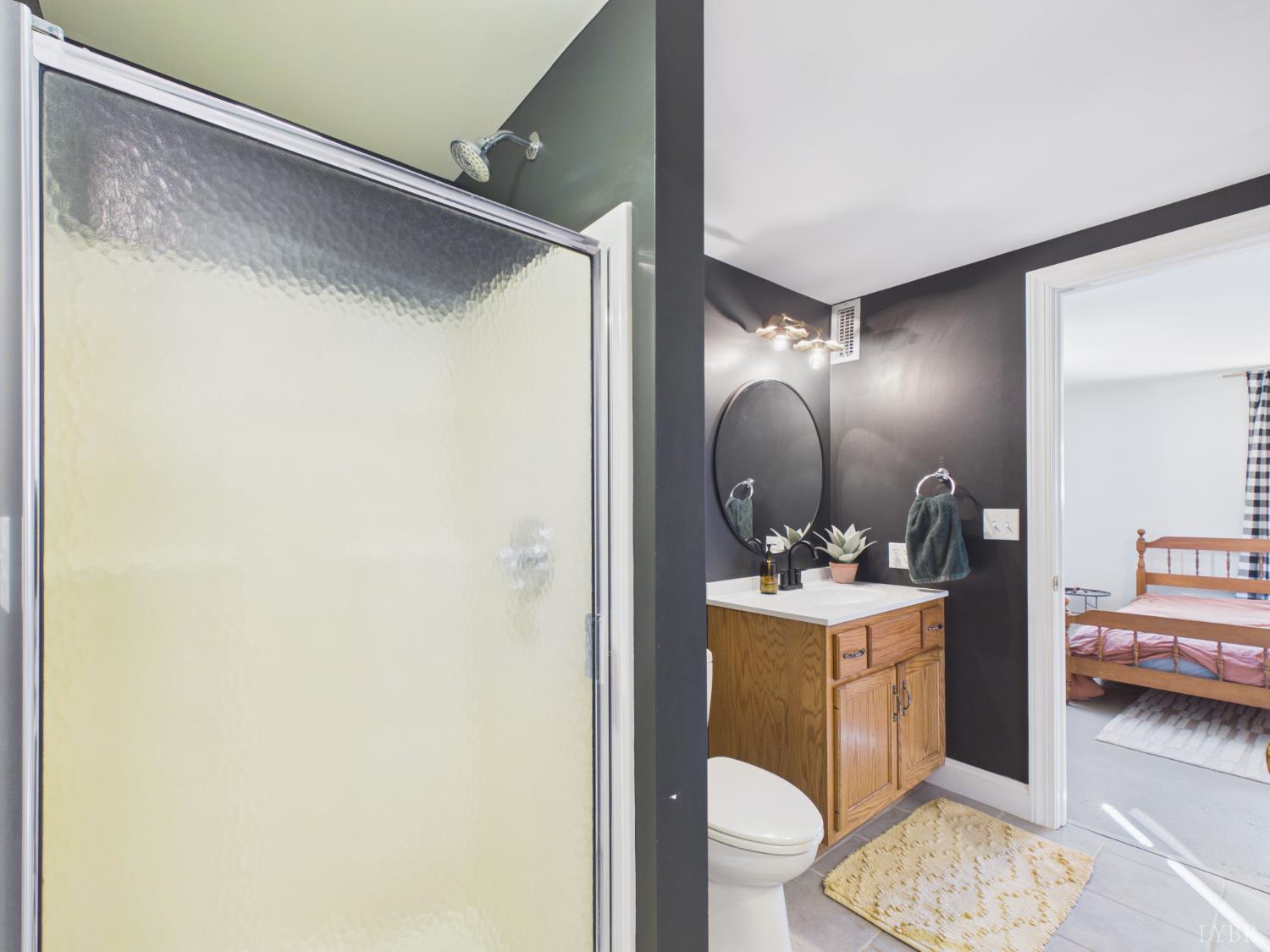 1482 First Rock Road Prospect, VA 23960 - Photo 19 of 30 a en suite bathroom with a sink mirror vanity and toilet