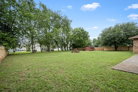 a view of a backyard with large trees and plants