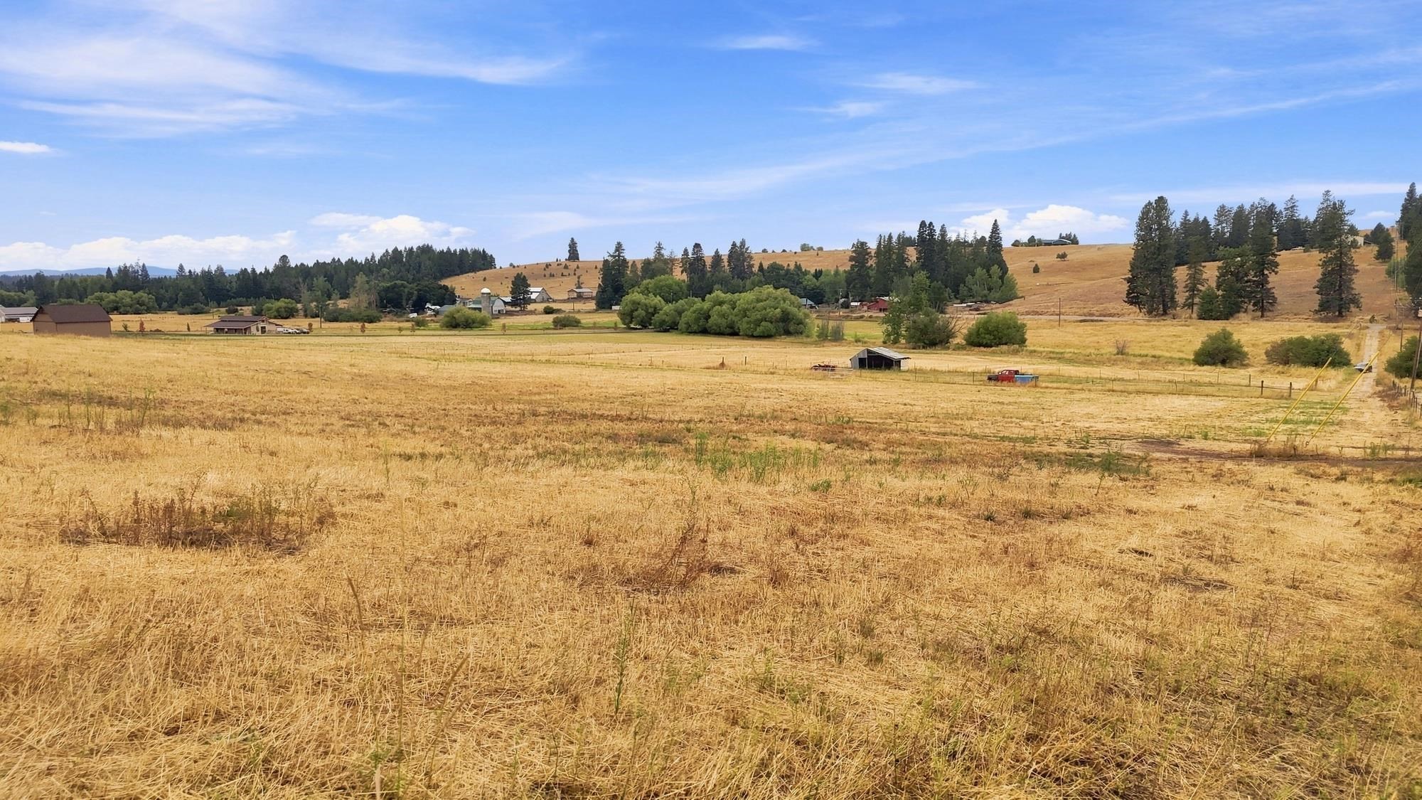 2702 Allen Road Elk, WA 99009 - Photo 10 of 23 Gallery Image 10