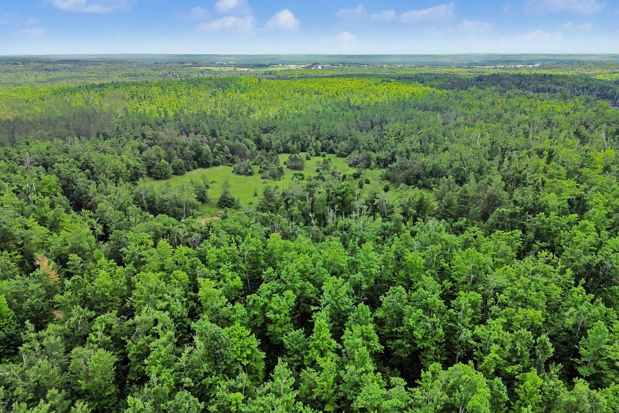 Vl -b- Centerline Road Mio, MI 48647 - Photo 13 of 15 13 _ -B- _ Centerline Road