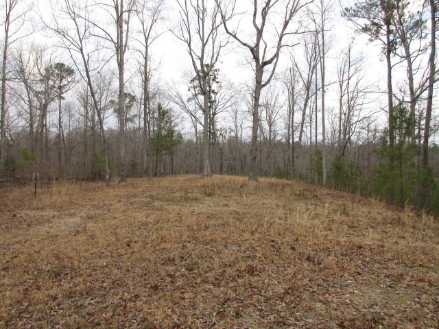 Lot 44 Lot Road Chocowinity, NC 27817 - Photo 4 of 10 Additional Photo