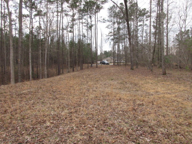Lot 44 Lot Road Chocowinity, NC 27817 - Photo 5 of 10 Additional Photo
