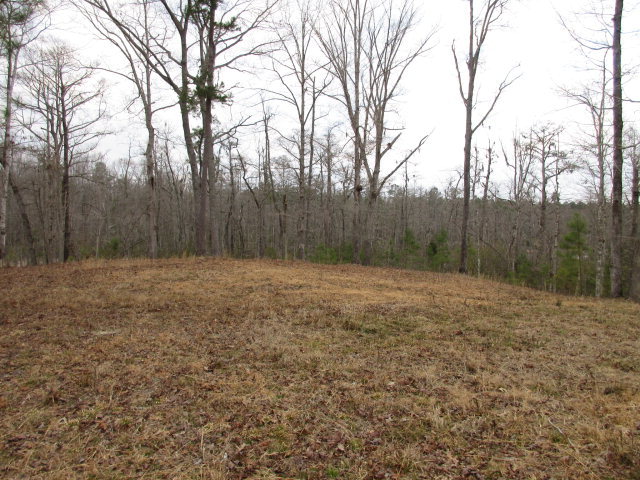 Lot 44 Lot Road Chocowinity, NC 27817 - Photo 6 of 10 Additional Photo