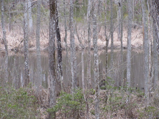 Lot 44 Lot Road Chocowinity, NC 27817 - Photo 8 of 10 Additional Photo