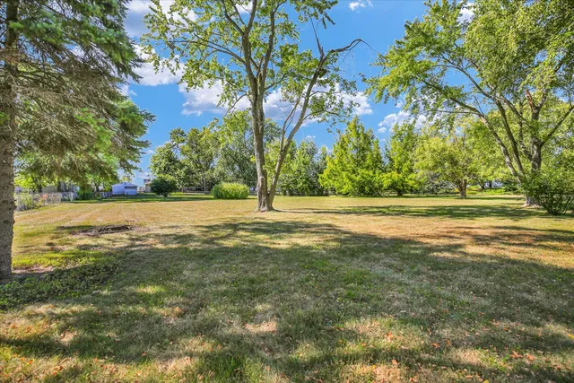 a view of a yard with large trees