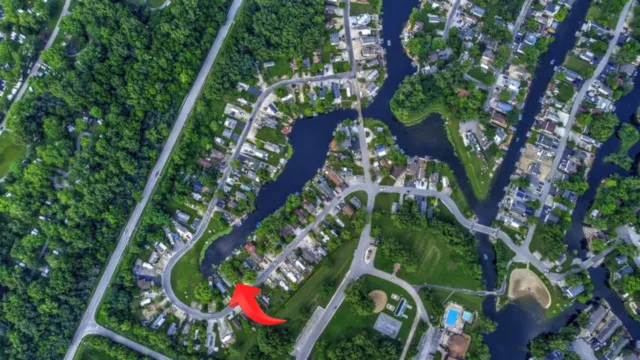 a close up of a plant