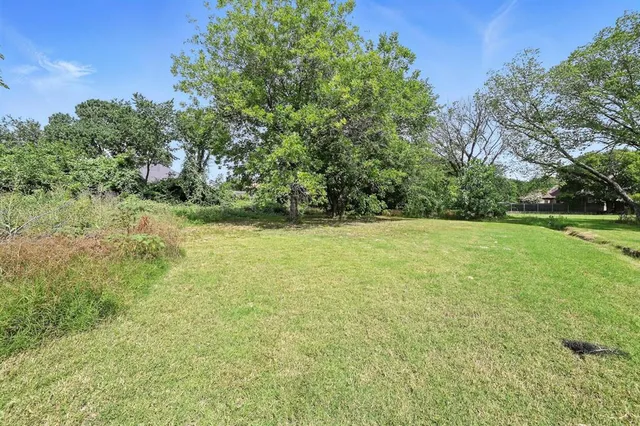 a view of a field with trees in the background