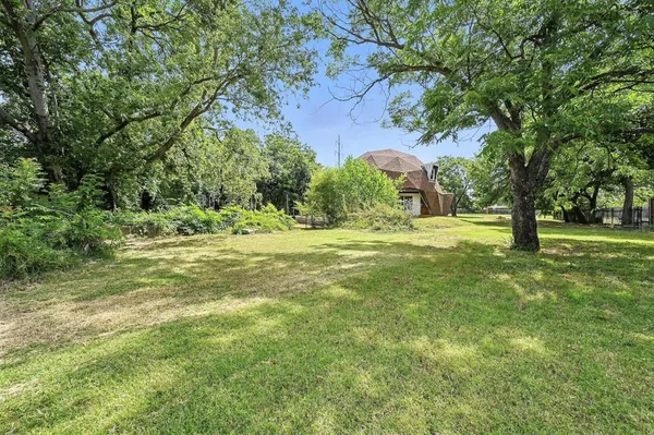 a view of a trees with a big yard