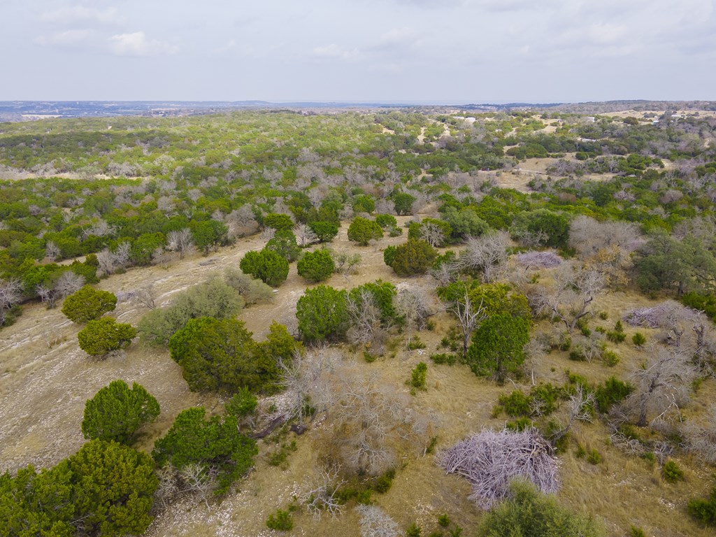 123 Birch Road Fredericksburg, TX 78624 - Photo 57 of 60