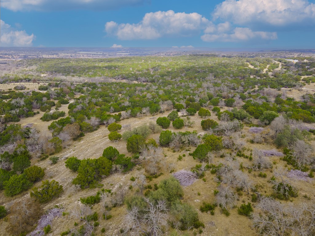 123 Birch Road Fredericksburg, TX 78624 - Photo 58 of 60