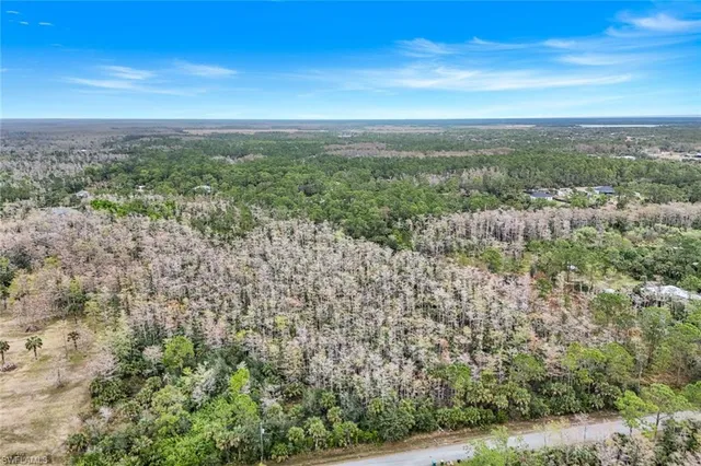 a view of a city with lush green forest