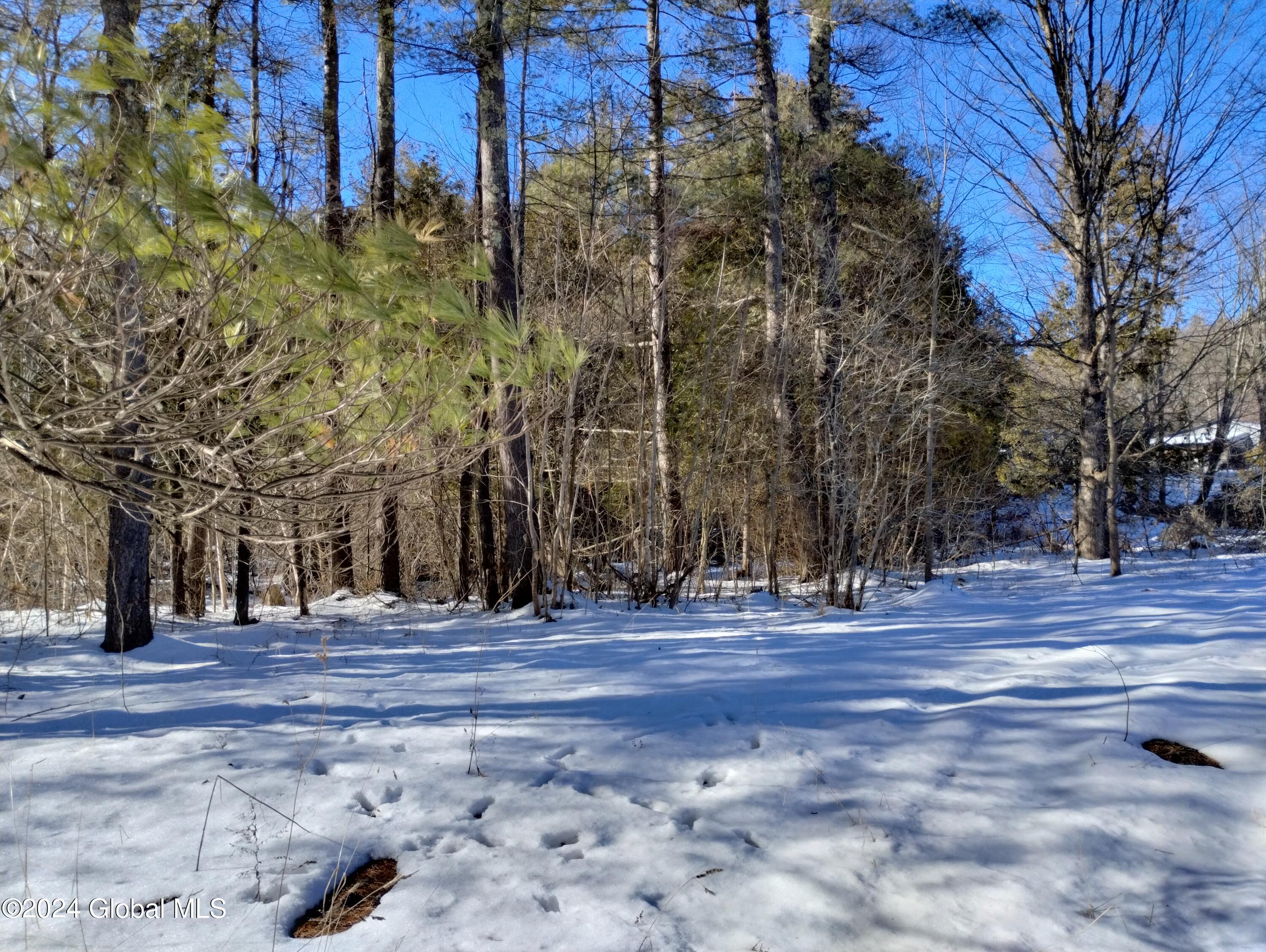 1277 White Church Road Crown Point, NY 12928 - Photo 5 of 18 IMG_20240204_133937207_HDR