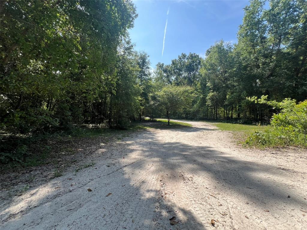 1 Southwest Old Wire Road Fort White, FL 32038 - Photo 1 of 1
