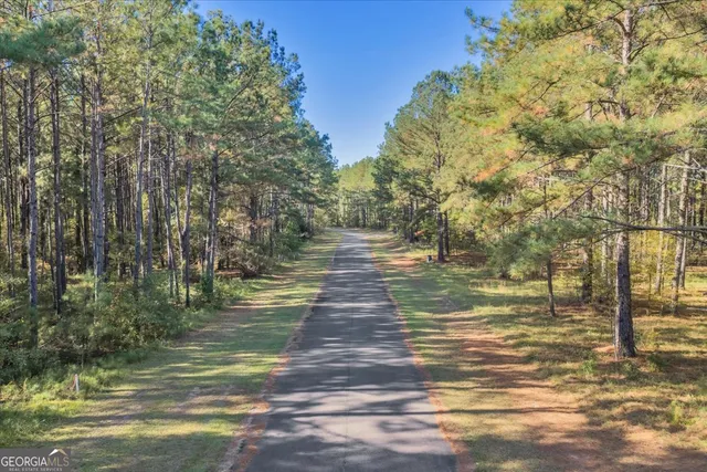 $40,000 | Lot 39 Sweet Magnolia Lane, Dublin, GA 31021