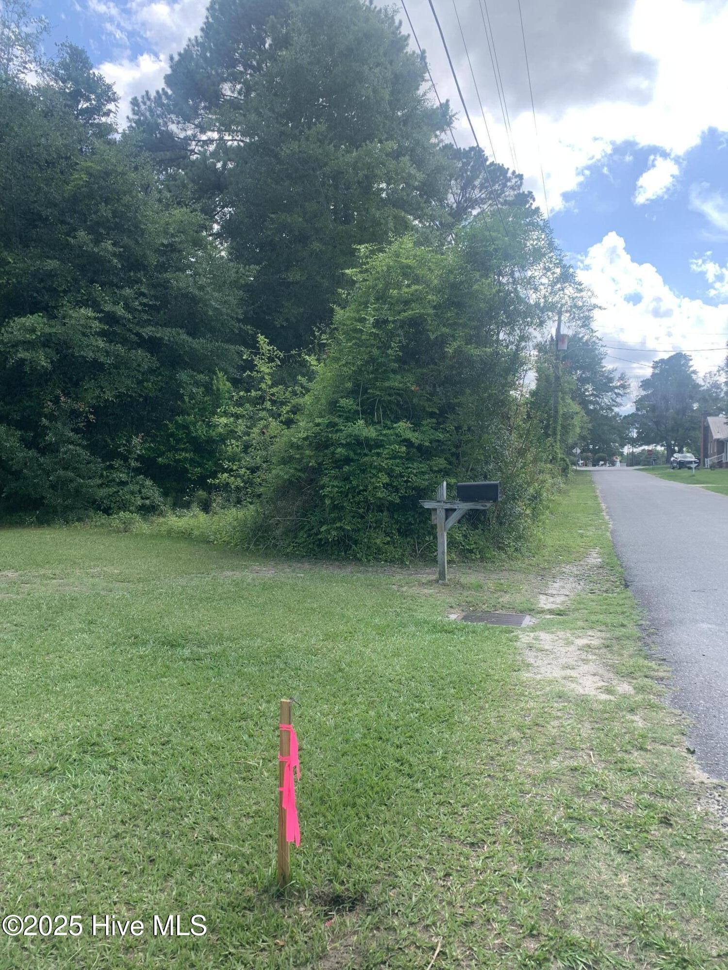 0 Susan Street Clinton, NC 28328 - Photo 2 of 3 IMG_3454