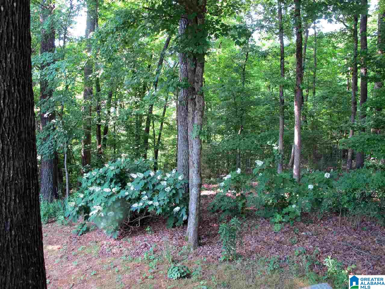 4305 Heritage View Road Birmingham, AL 35242 - Photo 27 of 29 Gallery Image 27