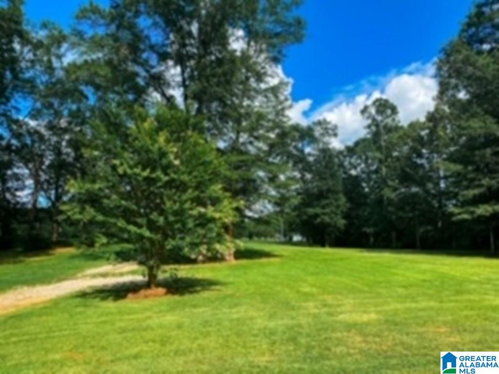 151 Henderson Road Lincoln, AL 35096 - Photo 43 of 47