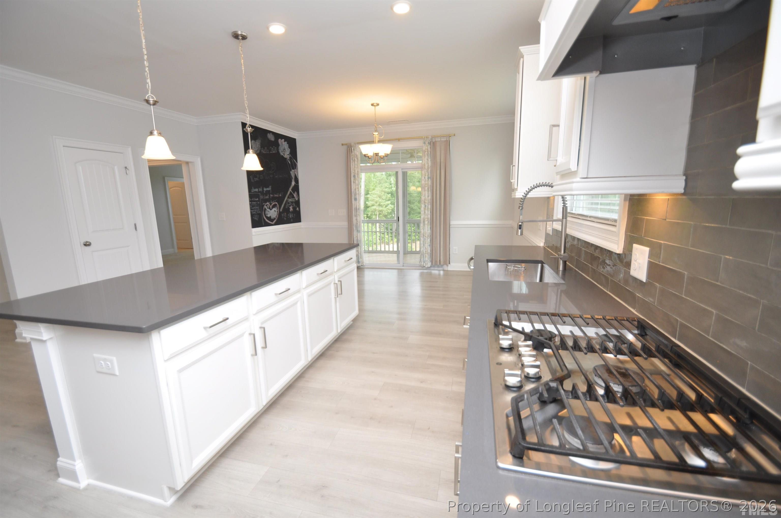 8508 Secreto Drive Raleigh, NC 27606 - Photo 12 of 50 Photo #12