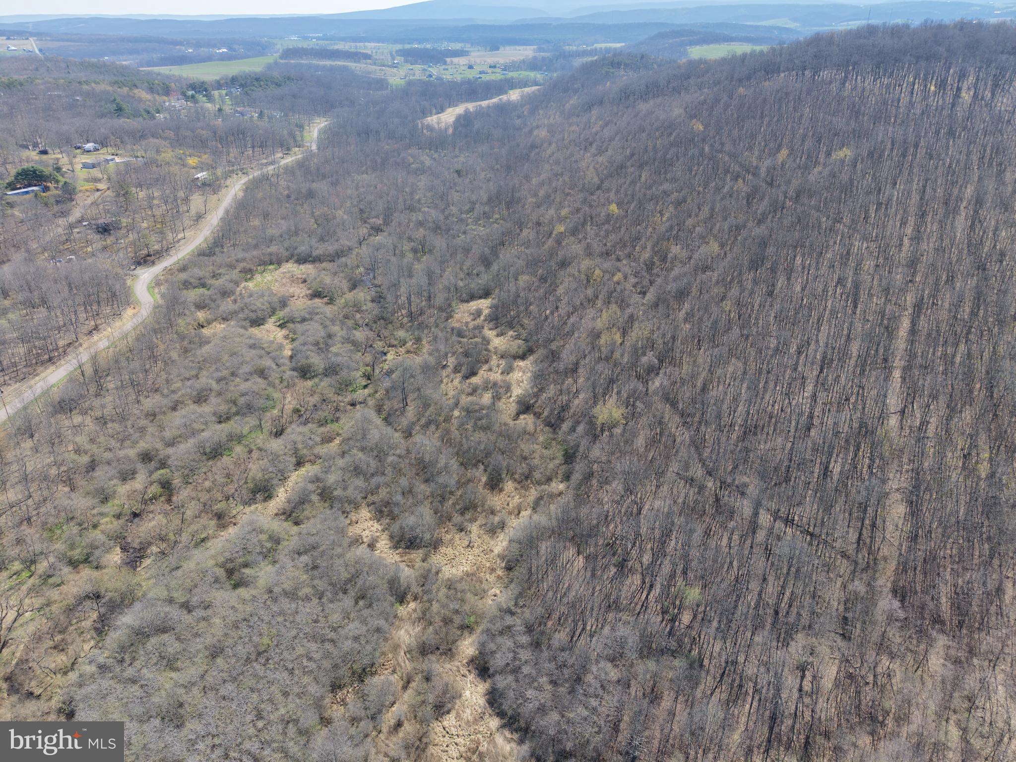 129-acres Black Hollow Road Schellsburg, PA 15559 - Photo 19 of 72 a view of a dry yard