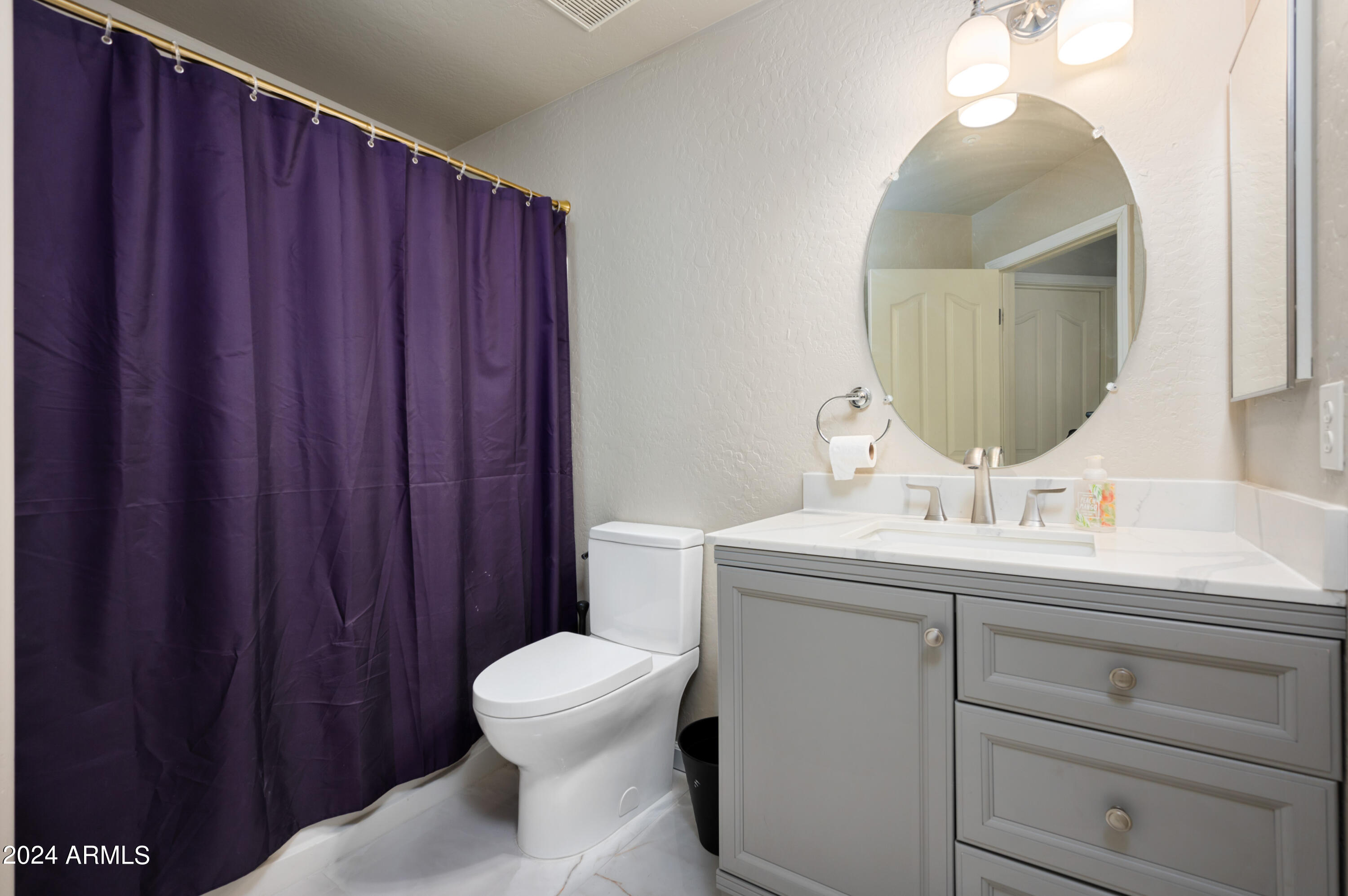 503 North Alder Street Gilbert, AZ 85233 - Photo 15 of 22 Full Guest Bathroom