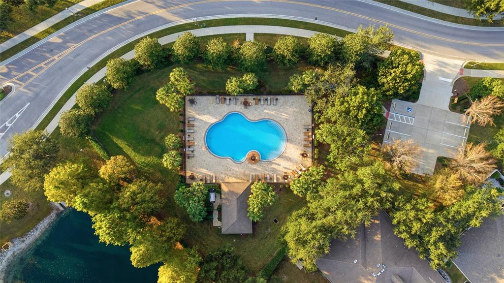 1028 Orca Court Holiday, FL 34691 - Photo 8 of 32