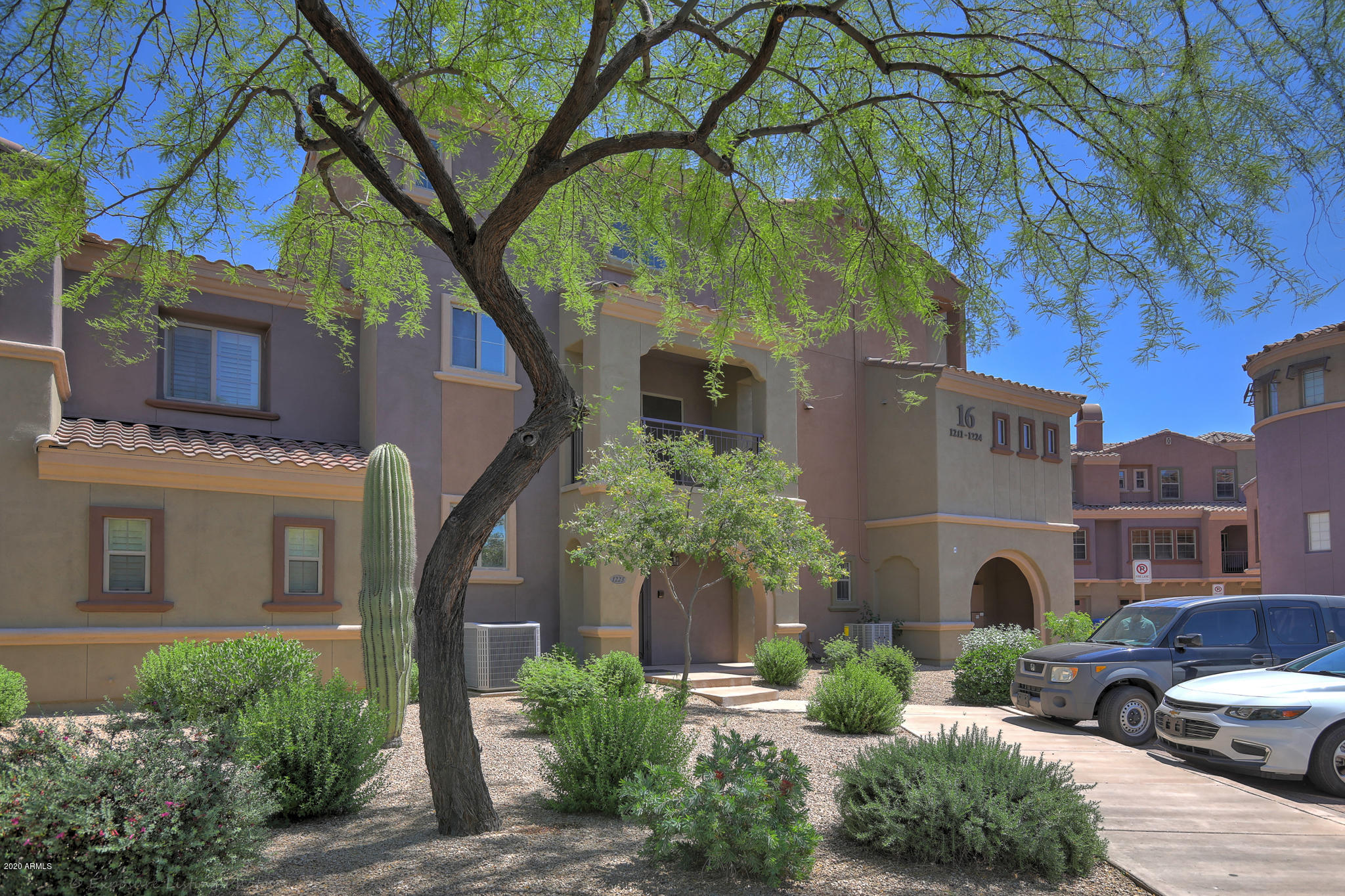 3935 East Rough Rider Road, Unit 1223 Phoenix, AZ 85050 - Photo 22 of 25 EXT tree