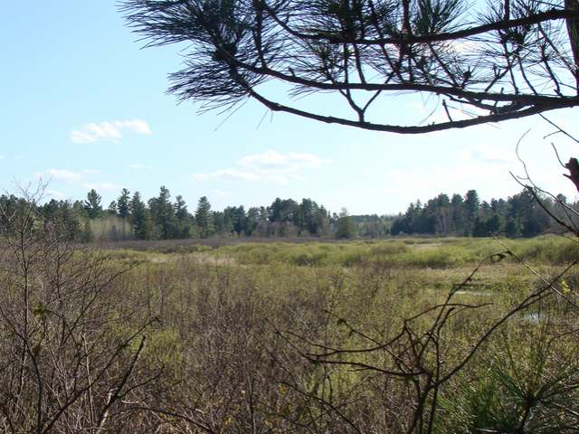 9 Camp 9 Road Minocqua, WI 54548 - Photo 1 of 17 Gallery Image 1