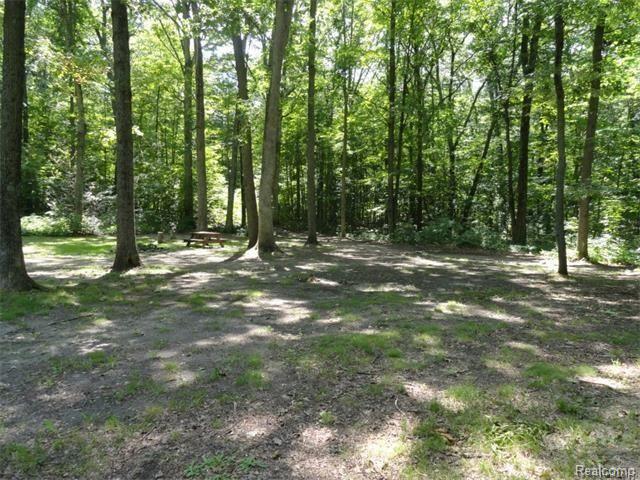 10355 Roberts Road Gregory, MI 48137 - Photo 5 of 18 Yard.jpg