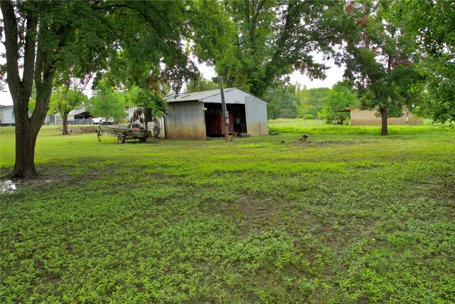a view of a trees in a park