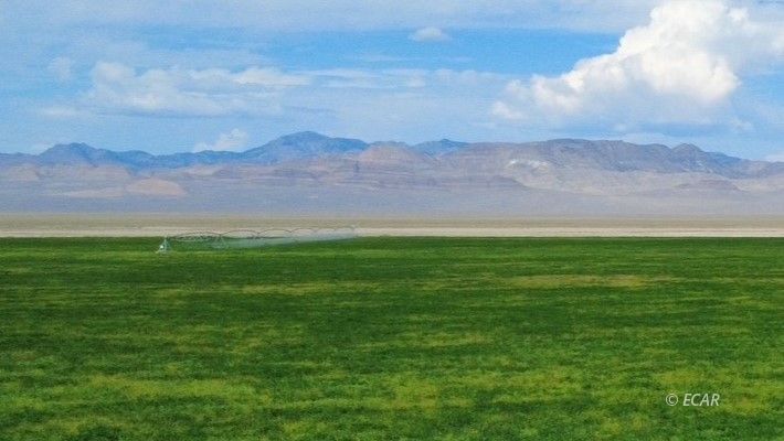 1199 Fire Station Road South Ely, NV 89301 - Photo 25 of 46