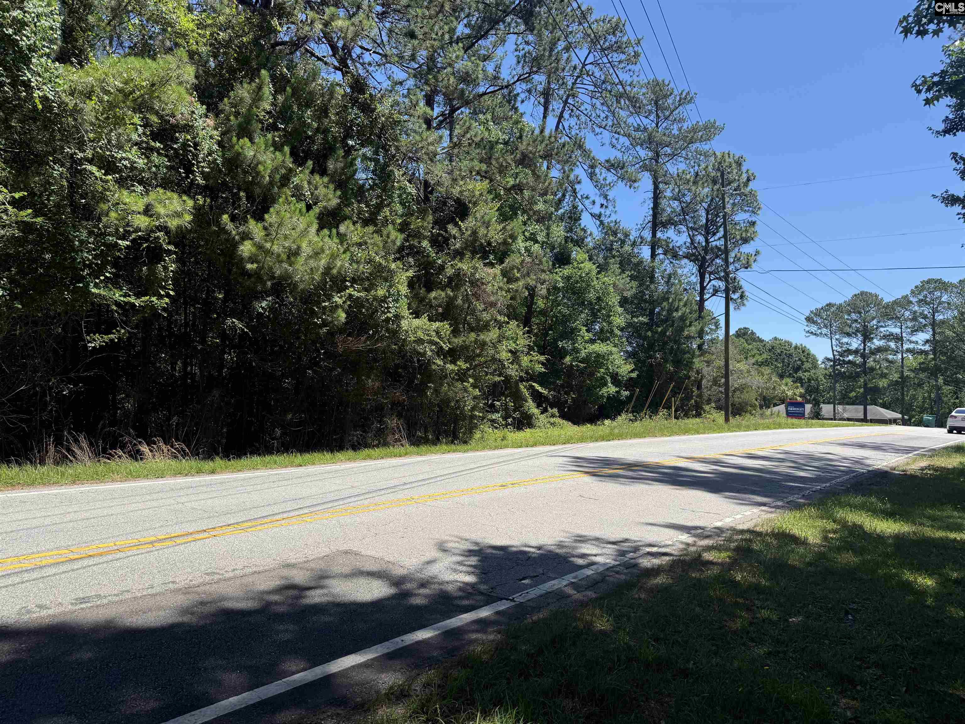 0 Corley Mill Road Lexington, SC 29072 - Photo 1 of 1