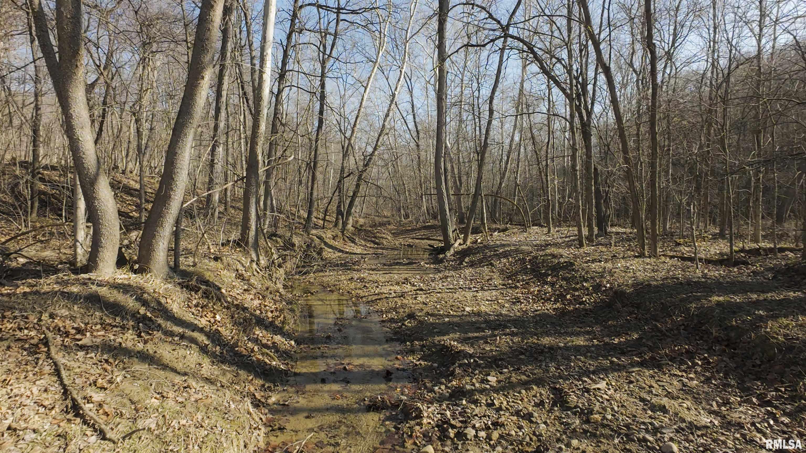 17217 North Dairy Farm Road Smithfield, IL 61477 - Photo 2 of 56 Gallery Image 2