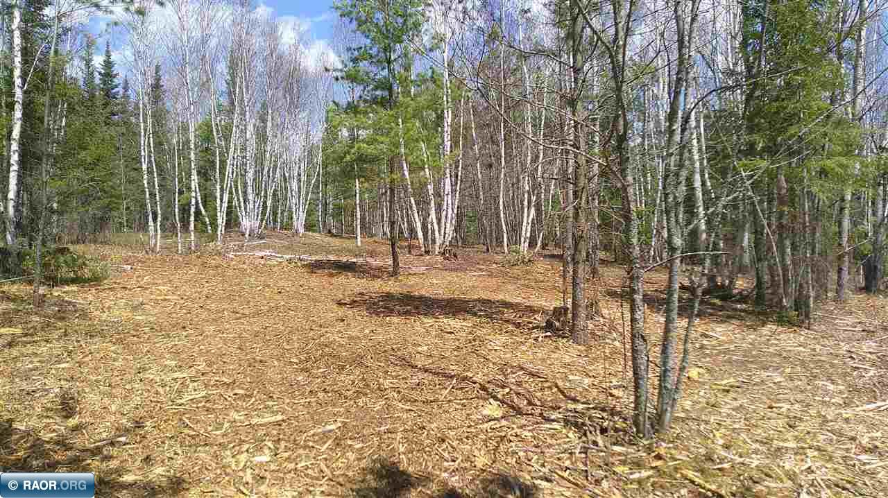 Tbd Parcel I Tbd Parcel I Frazer Bay Road Cook, MN 55723 - Photo 2 of 17