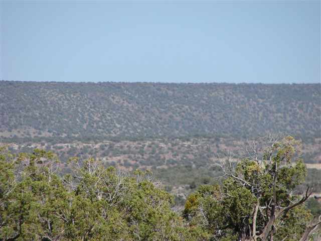 4139 A 9 5ac Por Valley Road Snowflake, AZ 85937 - Photo 2 of 4