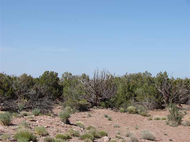 4139 A 9 5ac Por Valley Road Snowflake, AZ 85937 - Photo 3 of 4