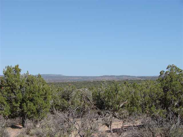 4139 A 9 5ac Por Valley Road Snowflake, AZ 85937 - Photo 4 of 4