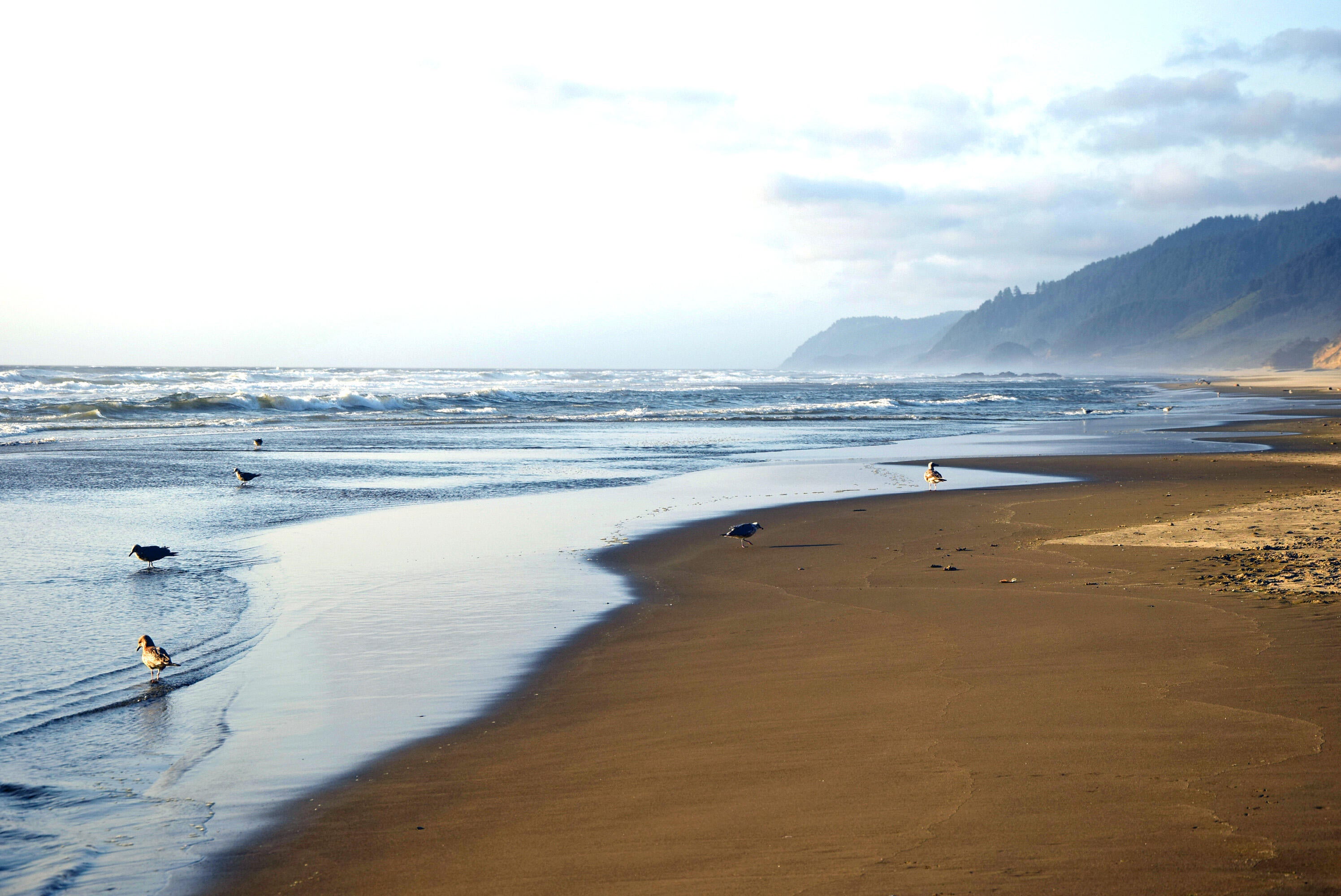 481 South 19th Street Reedsport, OR 97467 - Photo 28 of 28 28 - Oregon Coast