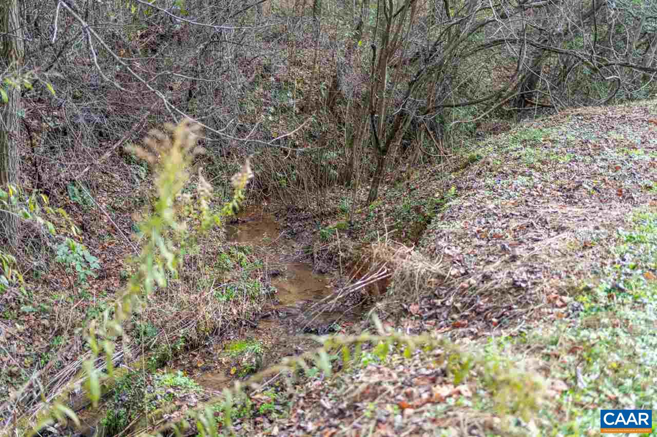 2564 Stagebridge Road Lovingston, VA 22949 - Photo 47 of 47 a plant view in yard
