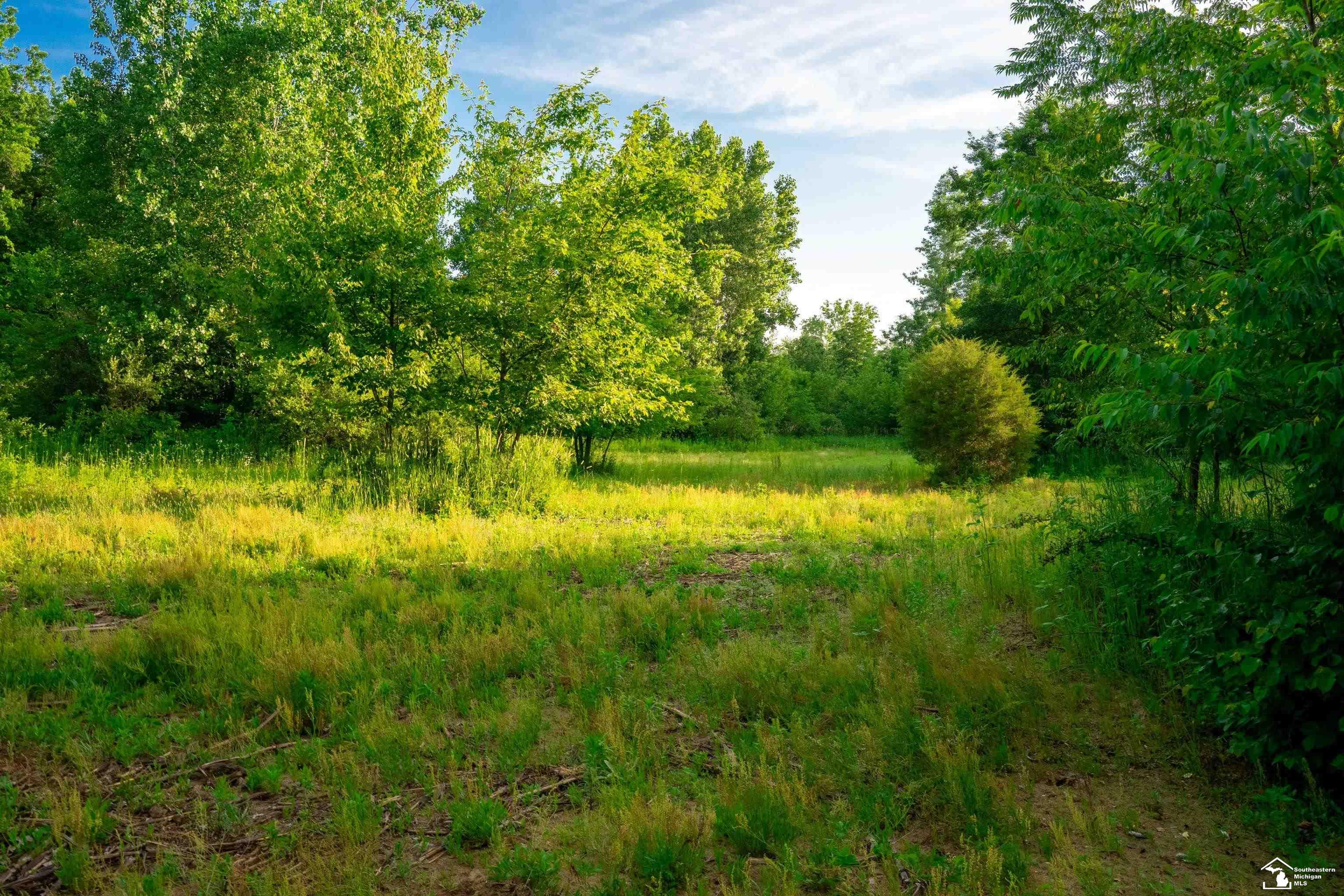 Parcel D Timbers Road Carleton, MI 48117 - Photo 19 of 20