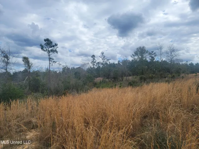 $138,000 | 38.53 Acre Highway, Leakesville, MS 39451