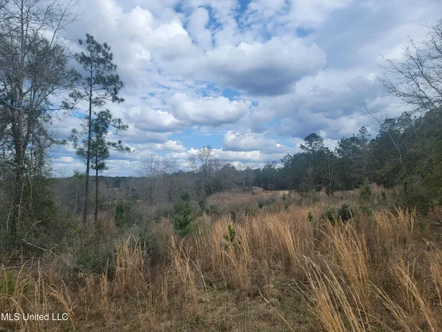 $138,000 | 38.53 Acre Highway, Leakesville, MS 39451