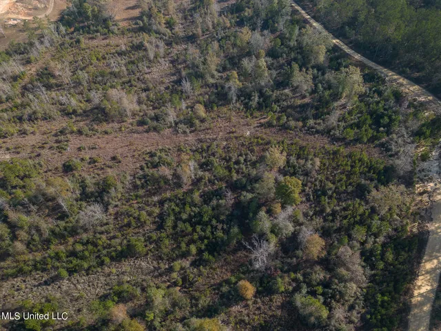 $138,000 | 38.53 Acre Highway, Leakesville, MS 39451